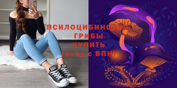 винт Балахна