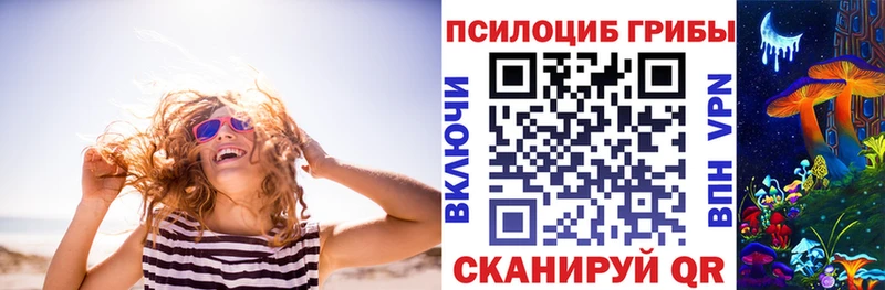Галлюциногенные грибы мицелий  купить закладку  Серафимович 